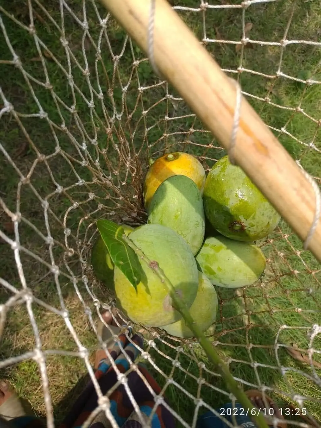 WhatsApp Image 2025-05-12 at 7.31.53 PM (1)