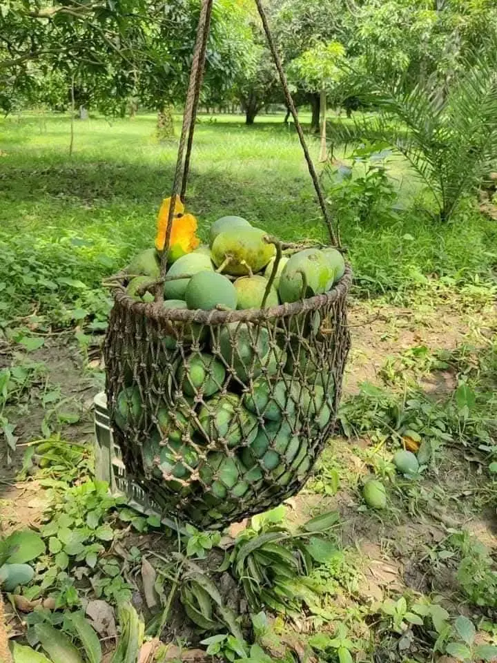 WhatsApp Image 2025-05-12 at 7.31.54 PM